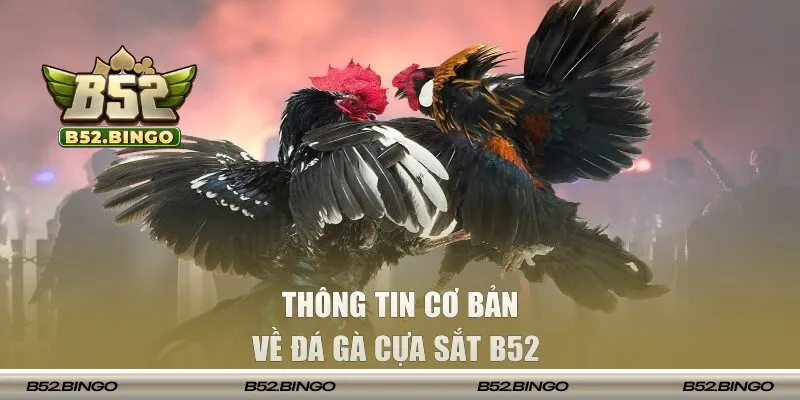 Đá gà cựa sắt tại B52 là gì?