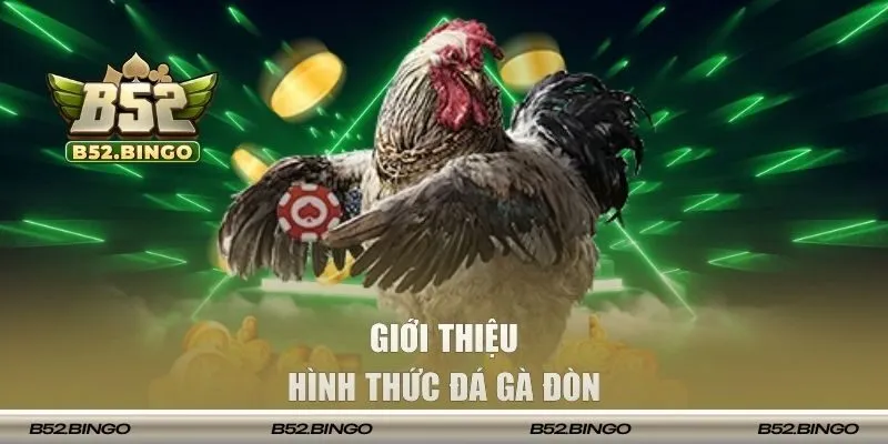 Đá gà đòn mang đến phút giây bùng nổ cảm xúc đỉnh cao