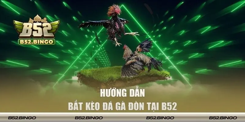 Trải nghiệm cược chiến kê đòn hấp dẫn thú vị