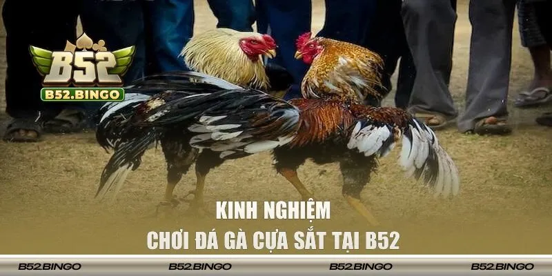 Kinh nghiệm chơi không bao giờ thua